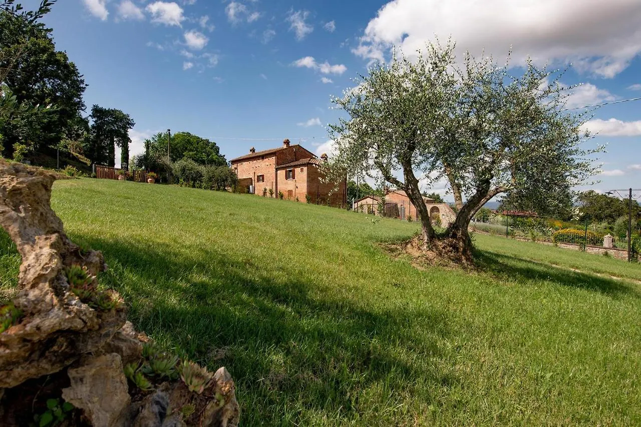 Borgo Delle Spighe Villa Cortona